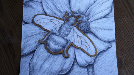 Bij (grafiet, pen, watercolor paint)